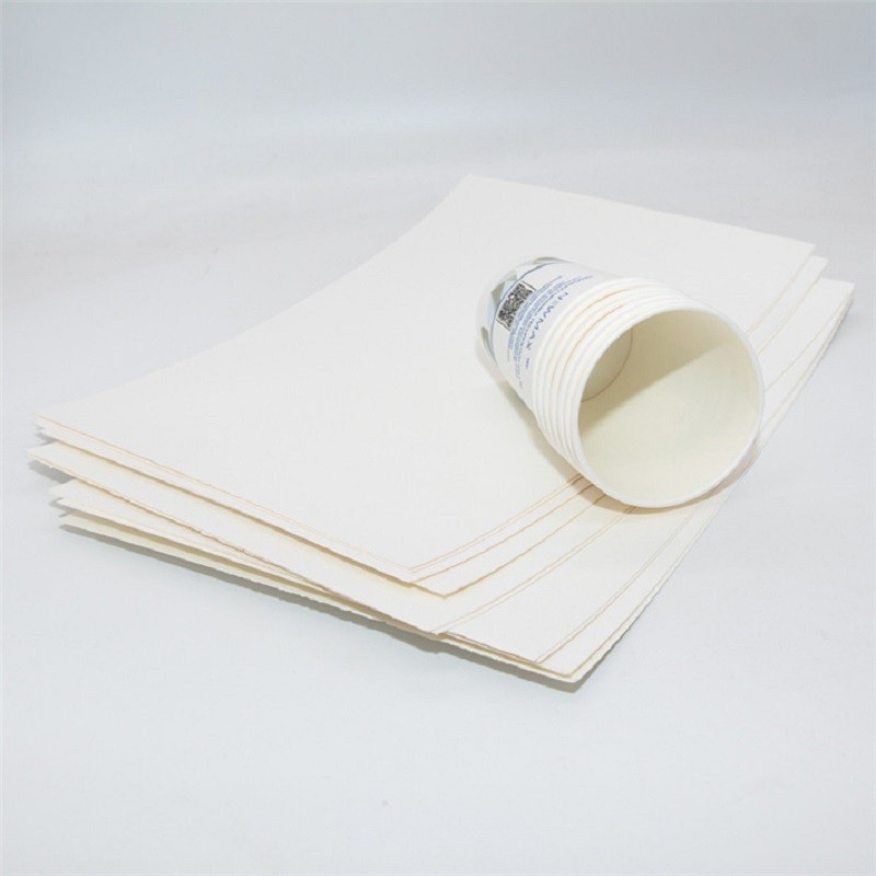 Pla coated cupstcok paper