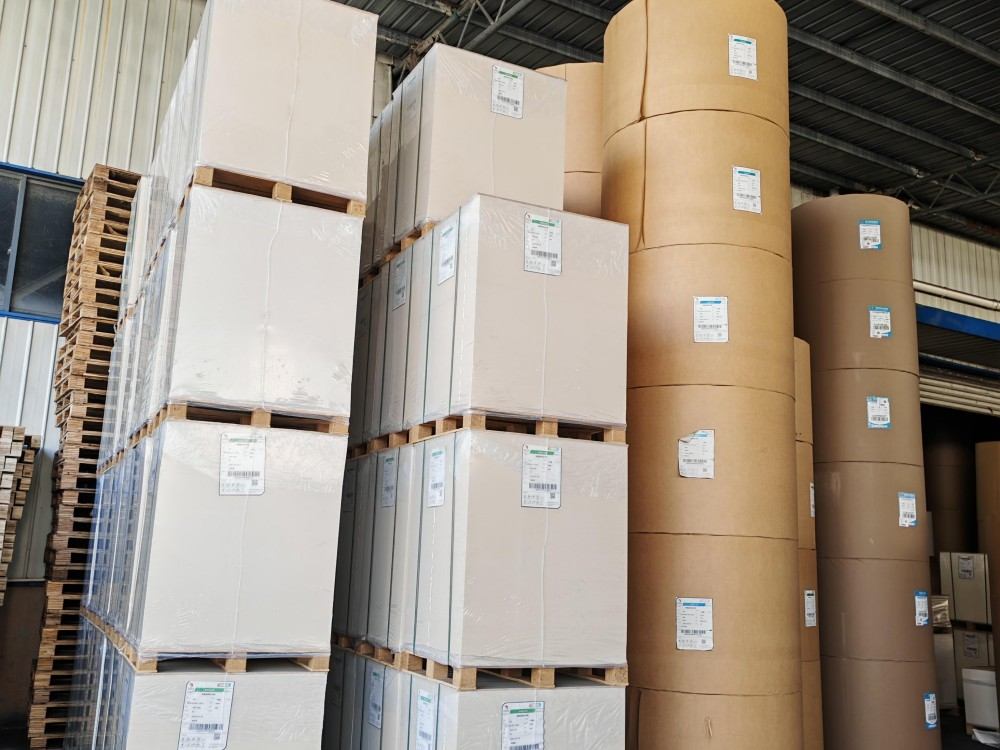 SRPNP paperboard factory 12