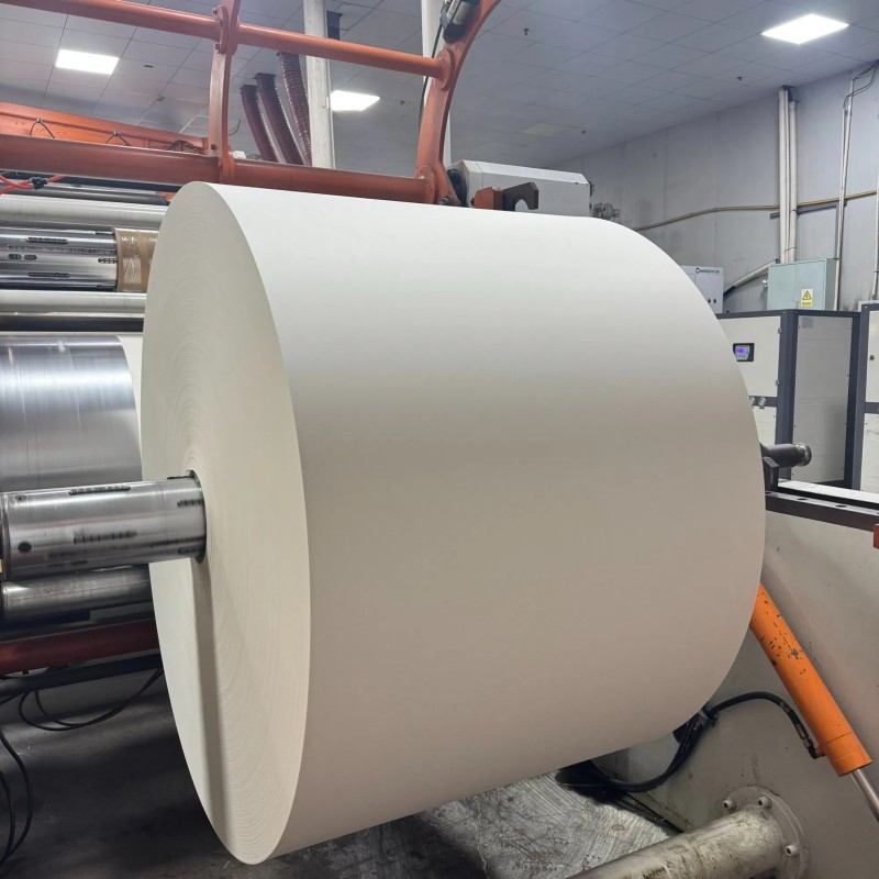 water base Coating Cup Stock