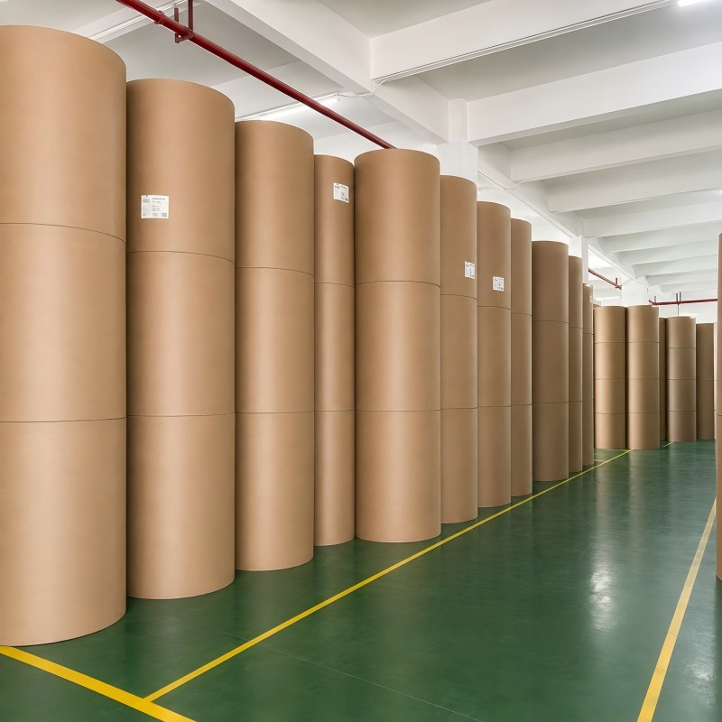 Eco Friendly Compostable baking paper