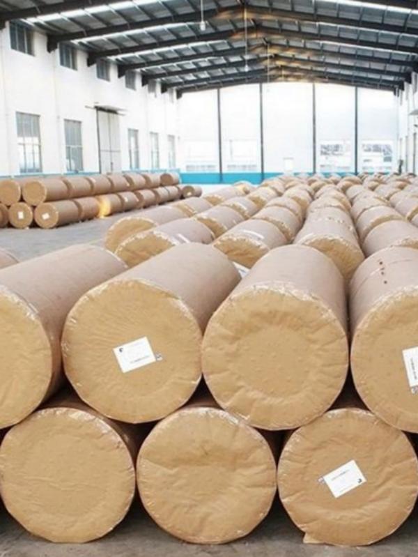 Eco Friendly Food Wrapping Siliconized Baking Paper